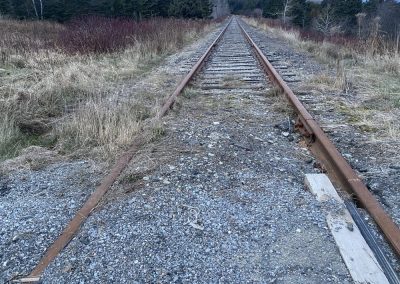 DOSSIER | Aires protégées et herbicides toxiques sur la voie ferrée : le MTQ se fait rassurant