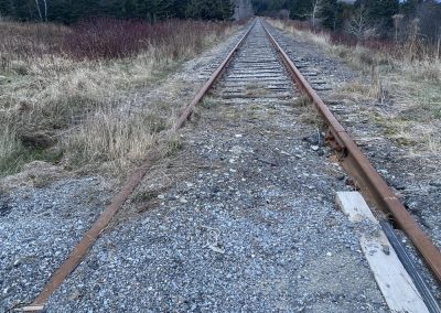 Rail : Québec annonce un contrat de 75M$