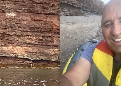 Tout un sauvetage d’un bébé orignal à l’Anse-à-Beaufils!