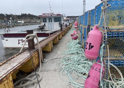 Plus de 50 M$ dans les ports pour petits bateaux de la Gaspésie