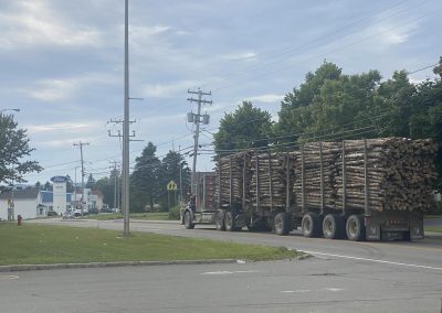 Industrie forestière : Québec injecte 120M$