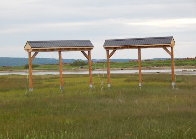 Une colonie d’Hirondelles à front blanc à protéger