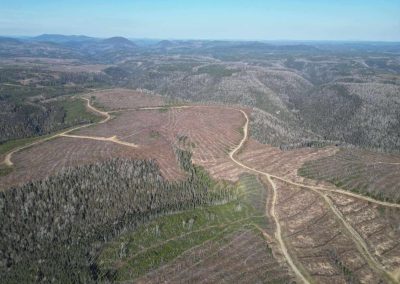 Débat en Chambre sur la crise forestière
