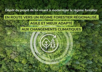Régime forestier : mécontentement chez les autochtones