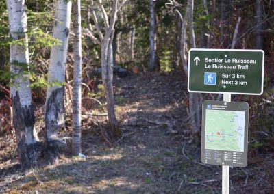 Une saison prometteuse au parc national Forillon!