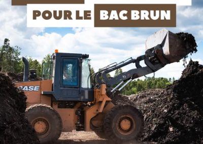Bac brun : des bonnes nouvelles