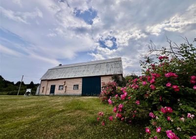 Vers renaissance du Centre culturel Le Griffon