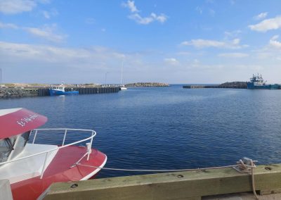 Quai de Newport : les travaux avancent bien