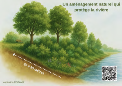 Restauration des rives de la rivière Bonaventure : le projet progresse