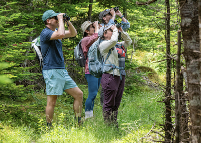 5e Grand BioBlitz en cours