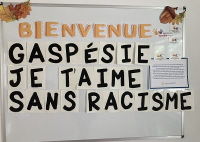 Des collages féministes en soutien aux immigrantes