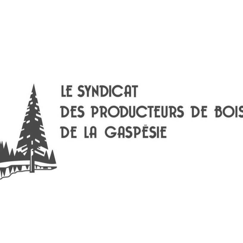 syndciat