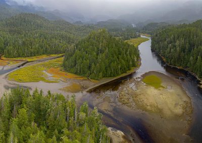 Feux de forêt : Ottawa investit 47,8 M$