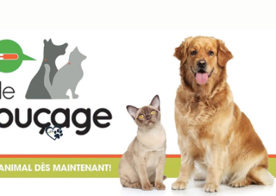3 journées de micropuçage dans la MRC du Rocher-Percé