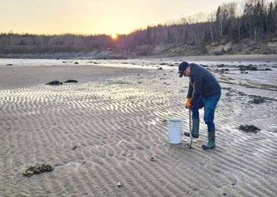 Avant de cueillir des mollusques, vérifiez que les secteurs soient ouverts