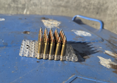 DES BALLES DE CALIBRE .22 DANS DES BACS BRUNS