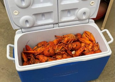Braconnage d’homardiers dans la mire de Pêches et Océans Canada